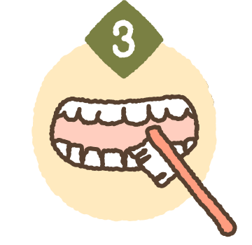 歯のお掃除がしやすくなる